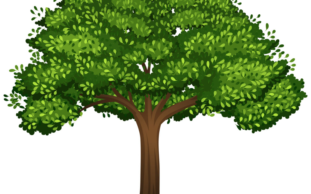 La confiance en soi : L&rsquo;arbre des talents