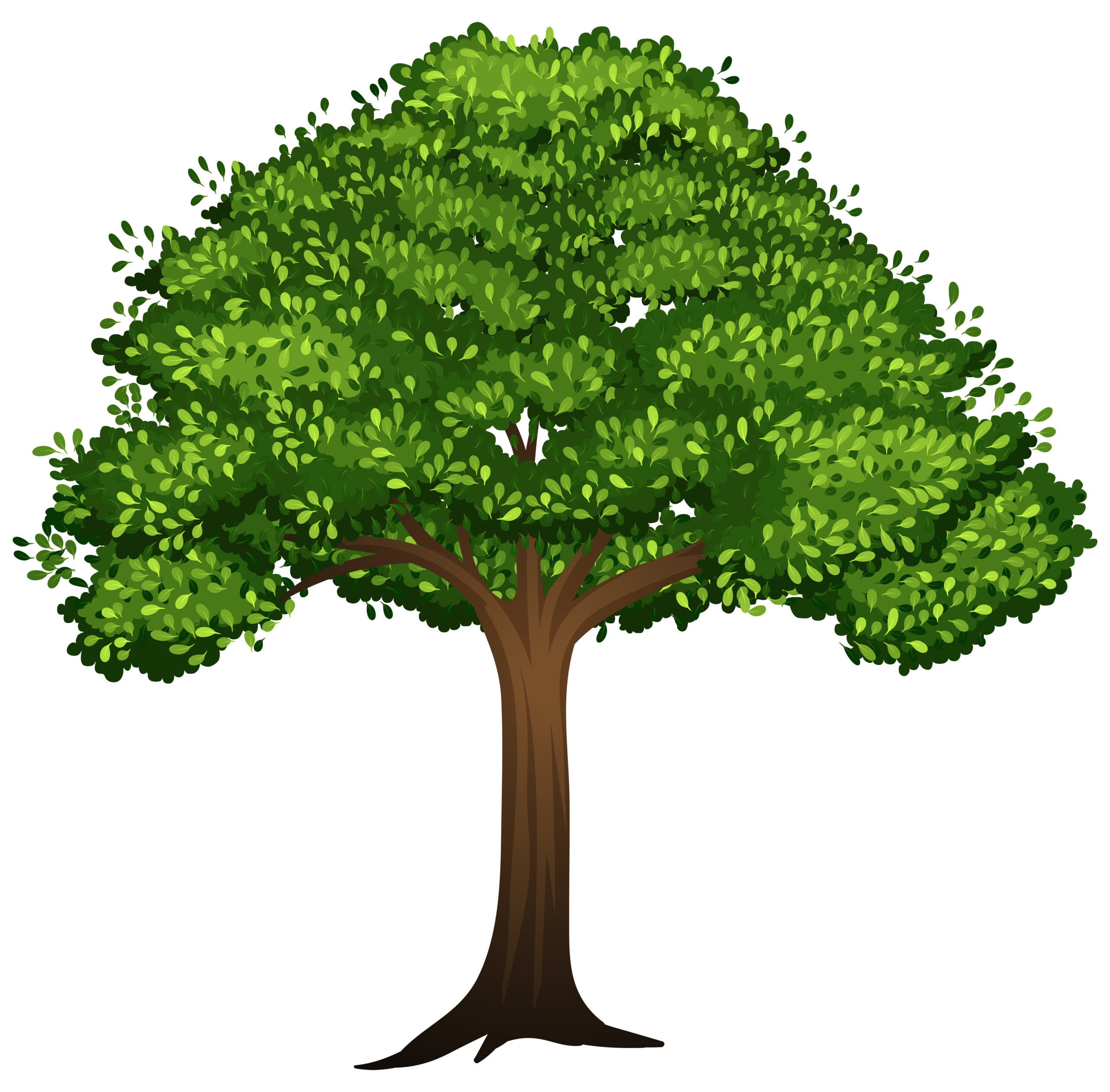 La confiance en soi : L’arbre des talents