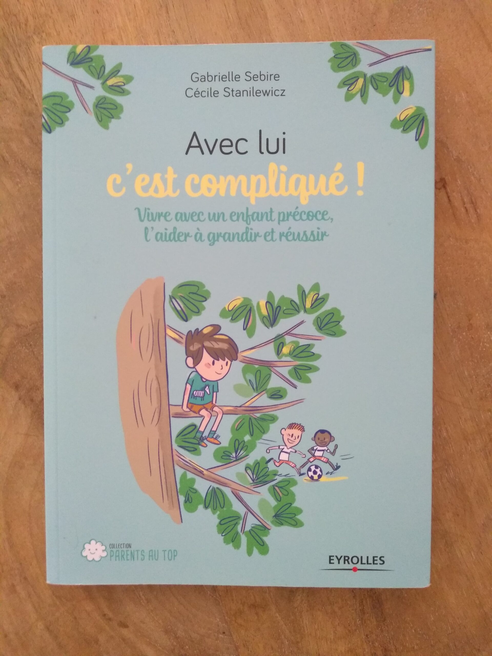 Accompagner les enfants à haut potentiel.