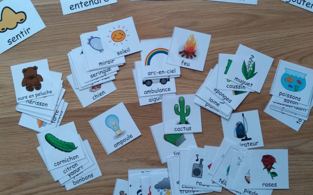Travailler les sens par le jeu !